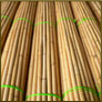 Manau Cane